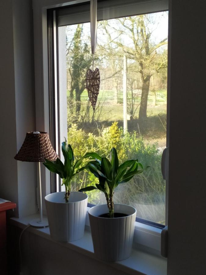 Gaestehaus Hoelting Lubberstedt 外观 照片