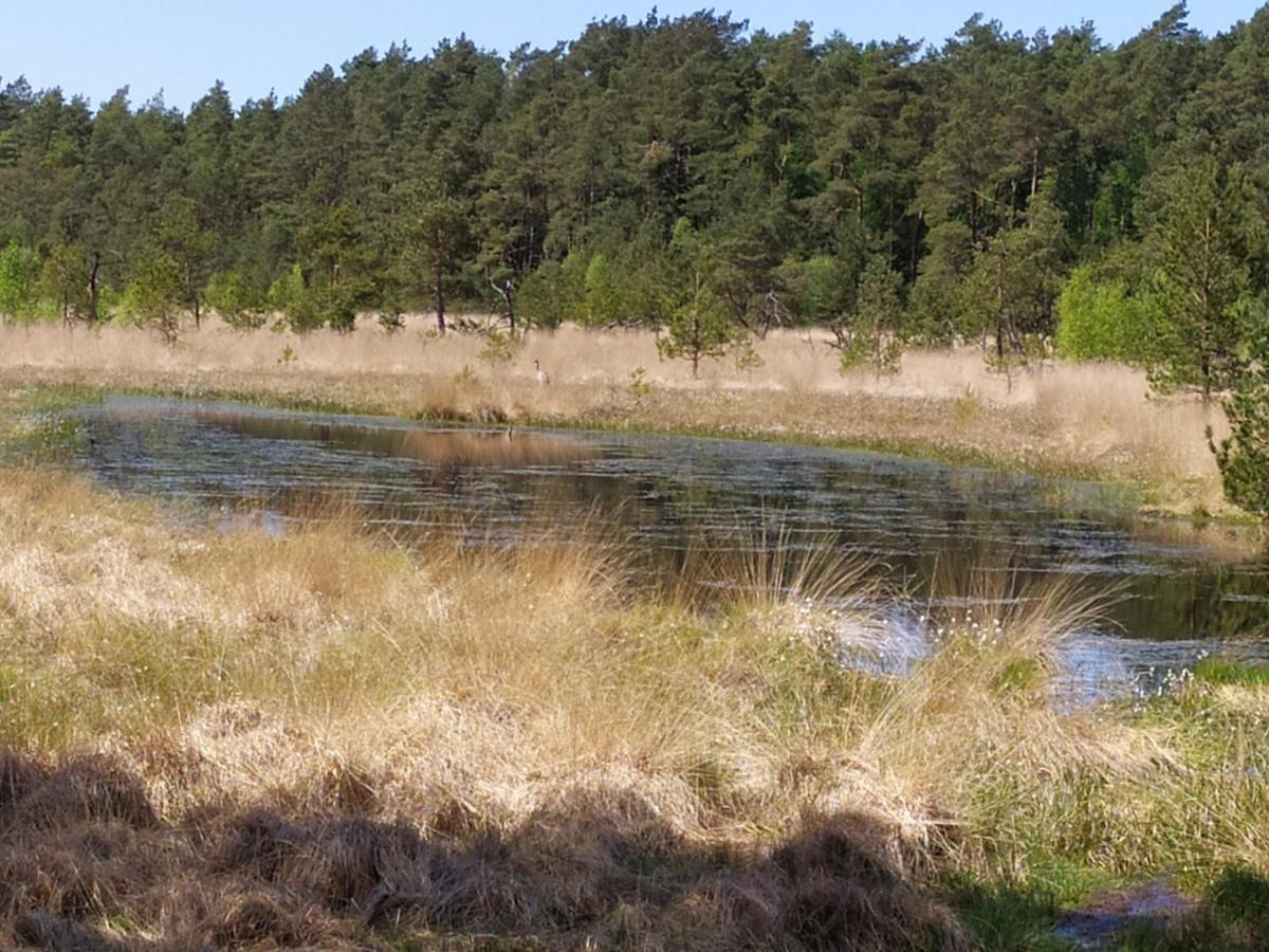 Gaestehaus Hoelting Lubberstedt 外观 照片